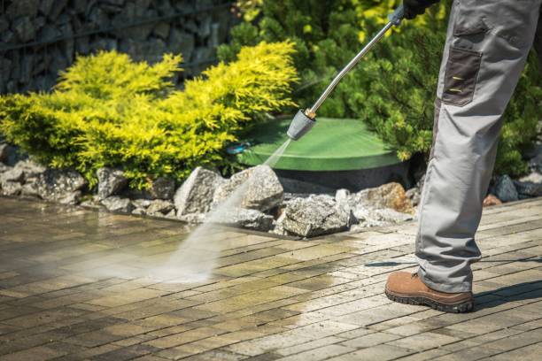 Animal Enclosure Cleaning in Falmouth, KY